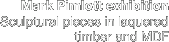 Mark Pimlott exhibition